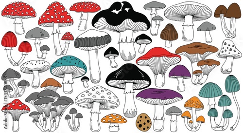 A Comprehensive Exploration of Diverse Mushroom Varieties and Their Unique Characteristics Detailed Study