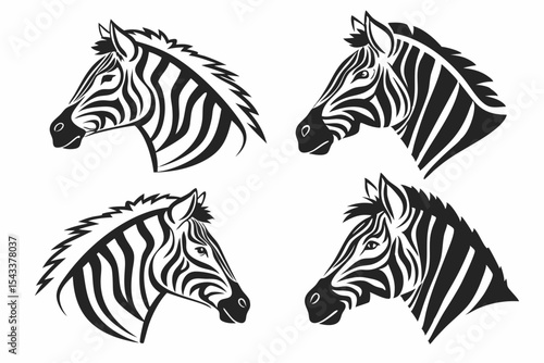 zebra vector illustration