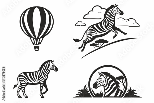 zebra