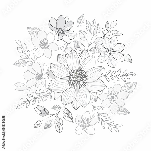 vector Line art Sketch Floral Botany. flower drawings.