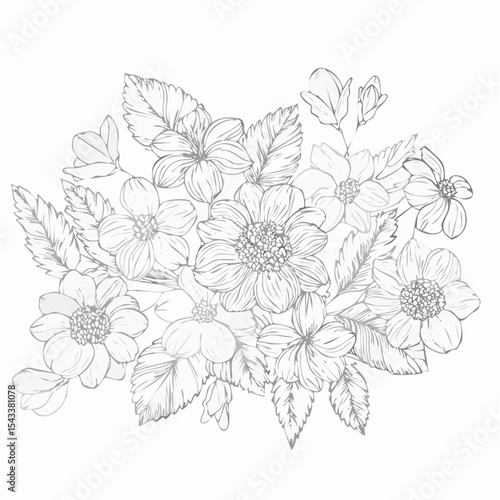 Wallpaper Mural vector Line art Sketch Floral Botany. flower drawings. Torontodigital.ca