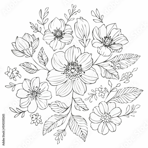Wallpaper Mural vector Line art Sketch Floral Botany. flower drawings. Torontodigital.ca