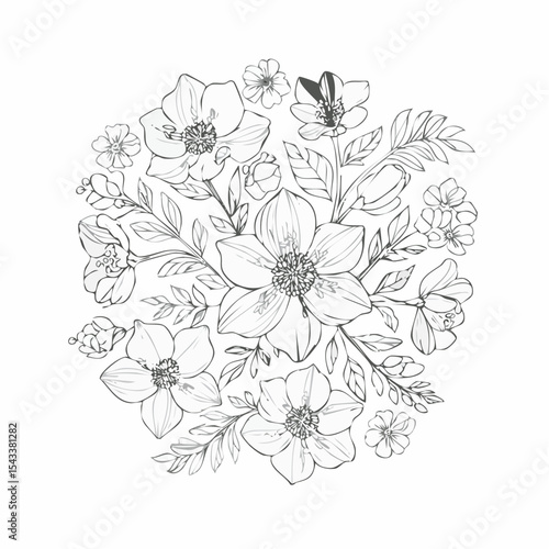 Wallpaper Mural vector Line art Sketch Floral Botany. flower drawings. Torontodigital.ca