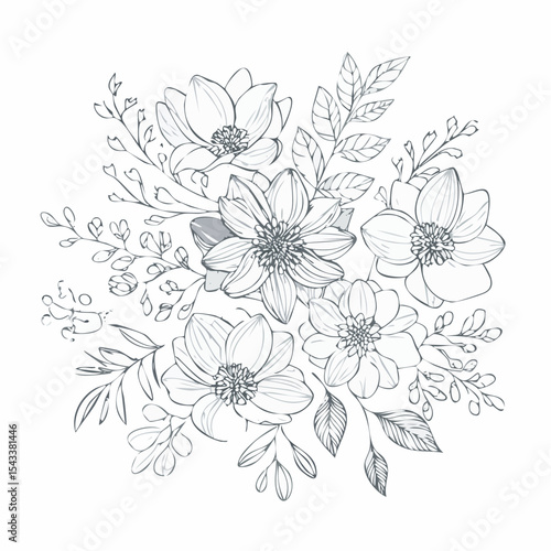 Wallpaper Mural vector Line art Sketch Floral Botany. flower drawings. Torontodigital.ca