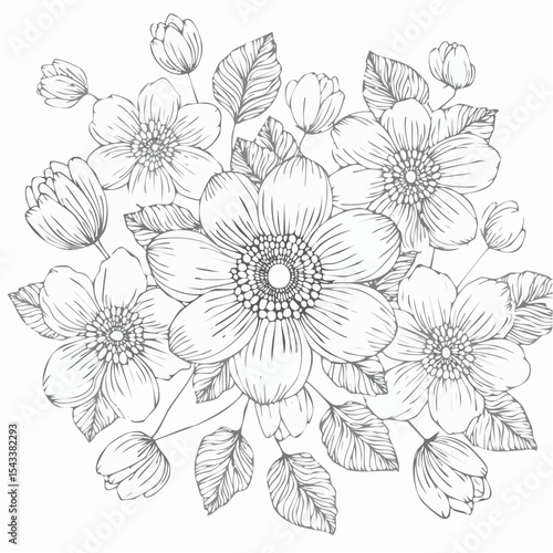 Wallpaper Mural vector Line art Sketch Floral Botany. flower drawings. Torontodigital.ca