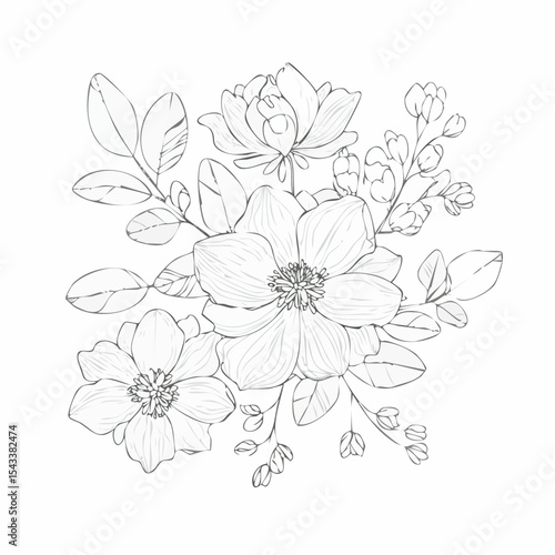 Wallpaper Mural vector Line art Sketch Floral Botany. flower drawings. Torontodigital.ca