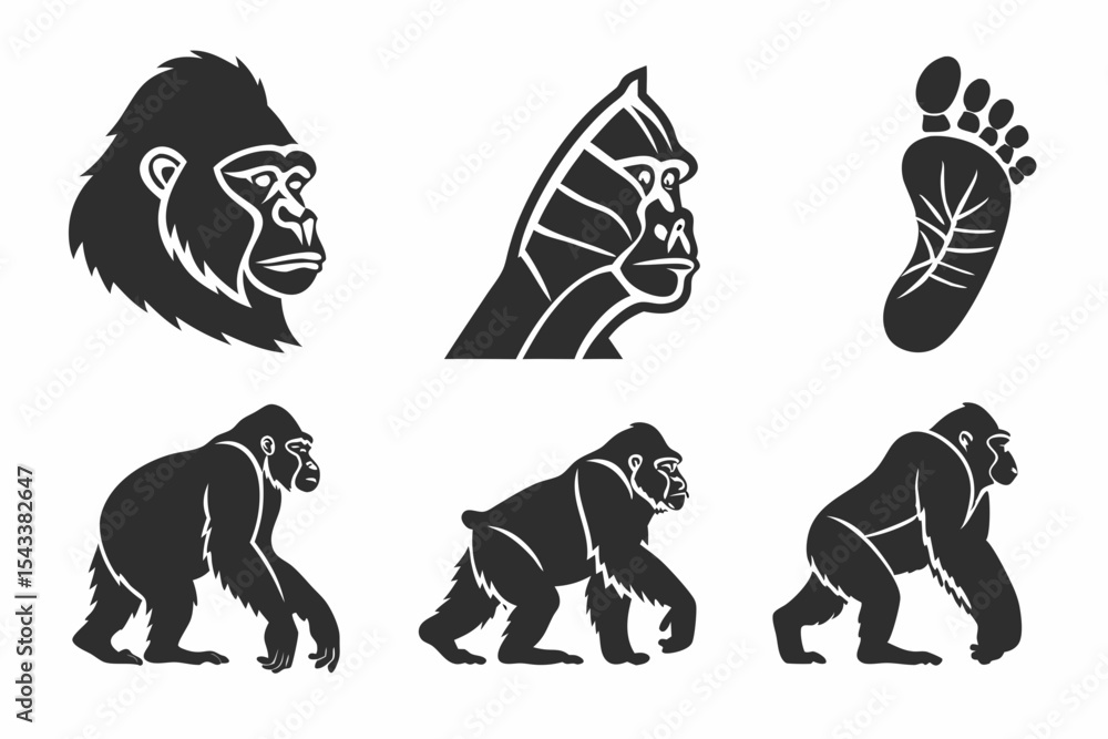 Fototapeta premium vector illustration of a silhouette of a lion