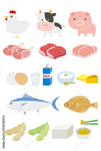 Protein Source Food Icons: Animal Plant Vector Illustration