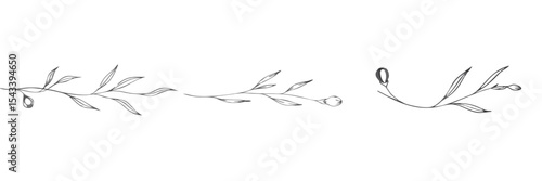 Three exquisite page dividers on transparent background featuring delicate botanical elements

