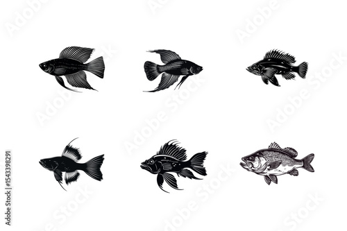 Six black and white fish illustrations