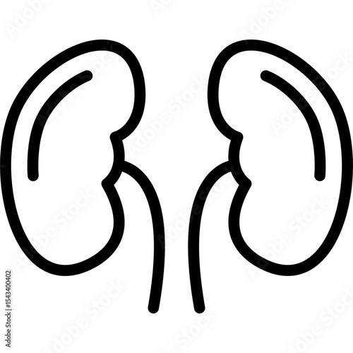 Kidneys Icon
