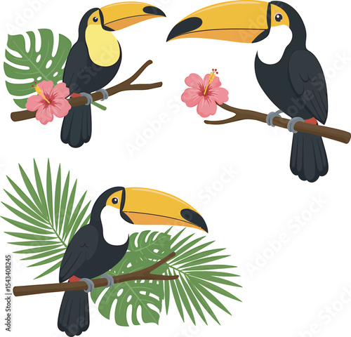 Colorful Toucan Bird Clip Art  vector and Illustration white color background