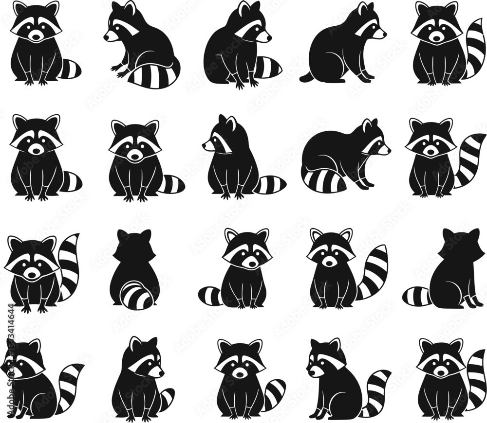 Obraz premium Twenty raccoon poses black and white illustrations
