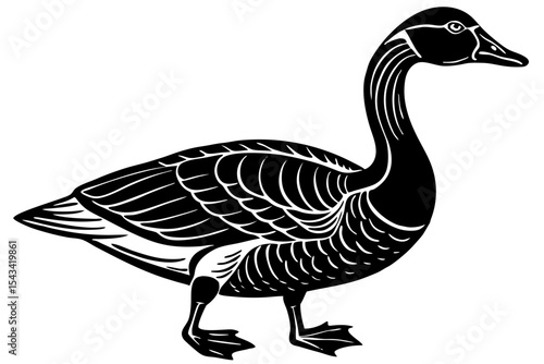 goose isolated on white