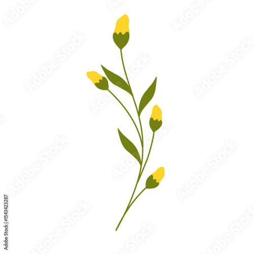 Illustration of yellow canola flower decoration. Minimalist flower illustration. Yellow flower illustration