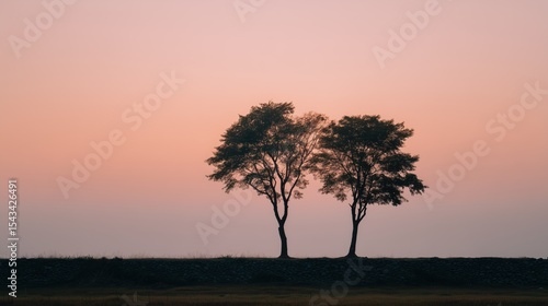 Wallpaper Mural Silhouetted trees at sunset standing closely in a serene natural landscape Torontodigital.ca