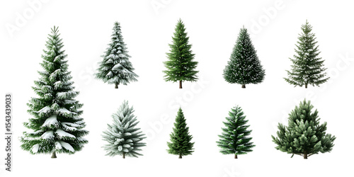 Pack Collection Collection of Realistic Evergreen Trees Perfect for Festive Designs set against transparent background
