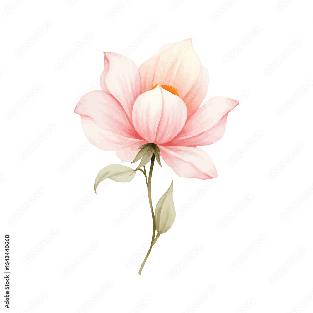 Fototapeta premium watercolor pink lily flower