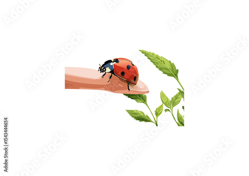  ladybugs are incredibly beneficial, especially to gardeners and farmers. They are highly valued as a natural form of pest control. Both the adult beetles and their larval stages (which resemble tiny,
