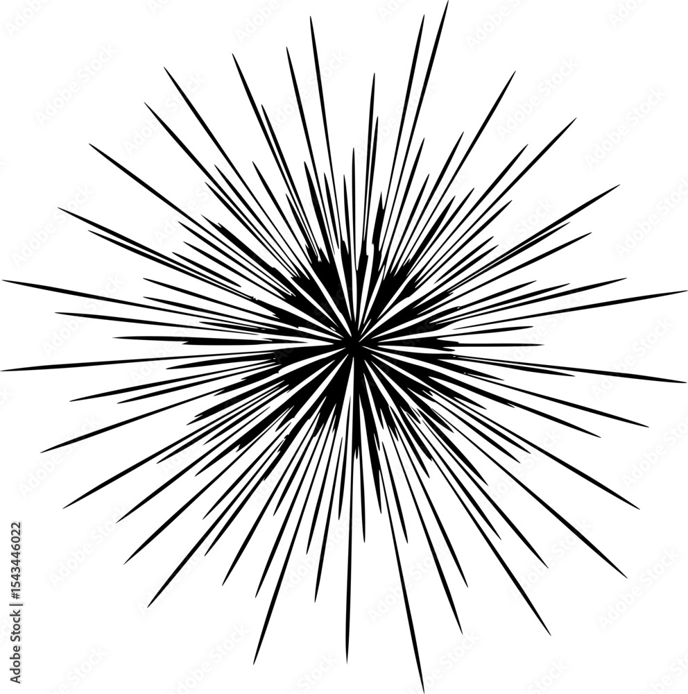 Naklejka premium Black silhouette of an abstract firework burst against. Vector illustration 