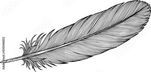 Monochrome illustration of feather with detailed lines, artistic concept. Vector illustration
