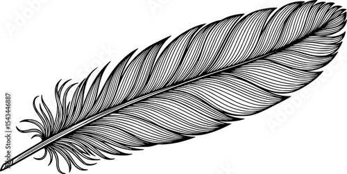 Monochrome illustration of feather with detailed lines, artistic concept. Vector illustration
