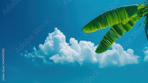 Bright Tropical Scene with Green Banana Leaves and Fluffy White Clouds