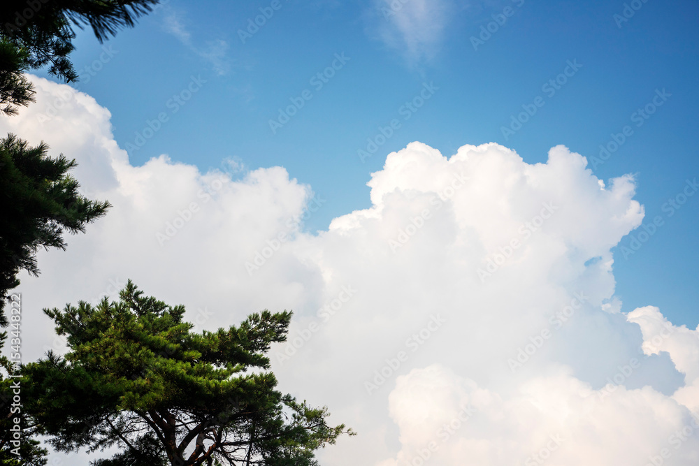 Obraz premium 청계산