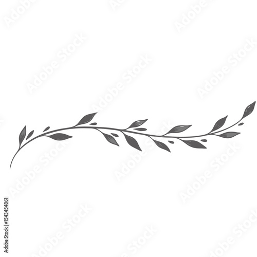 An elegant page divider on transparent background featuring delicate vine and leaves design
