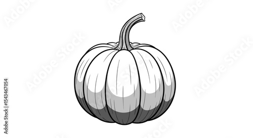 Solitary Pumpkin with Textured Surface and Curved Stem Against Plain Background