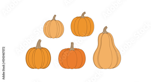 Collection of Five Various Pumpkins and Butternut Squash in Warm Autumn Colors