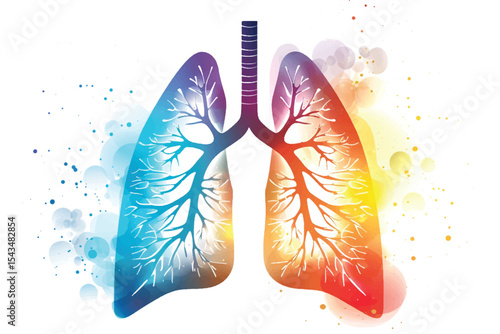 Illustration of  lungs anatomy structure Isolated.
