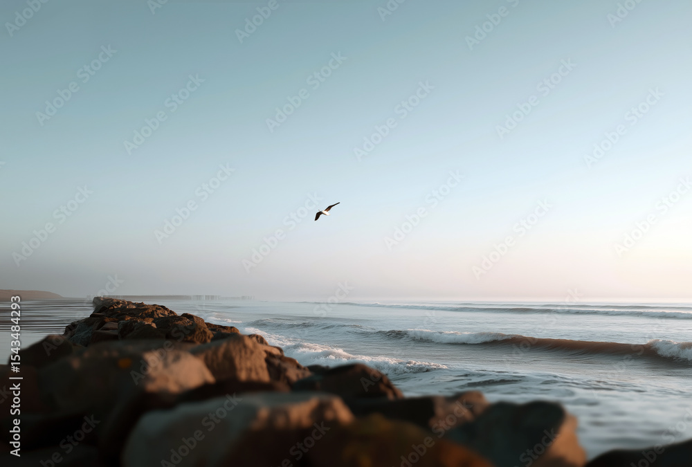 Rocky Shoreline with Soaring Bird over Calm Ocean during Sunrise Light and Peaceful Morning Atmosphere Rocky Shoreline with Soaring Bird over Calm Ocean during Sunrise Light and Peaceful Morning Atmosphere