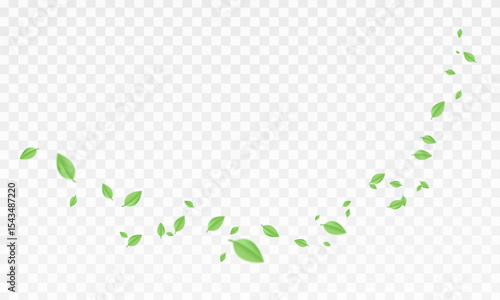 Green  air swirl effect with bright flow with flying mint leaves PNG. Green swirl on transparent background. Vector