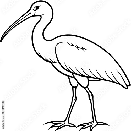 Ibis Bird Wading in Shallow Water with Long Beak – Graceful Line Art Illustration