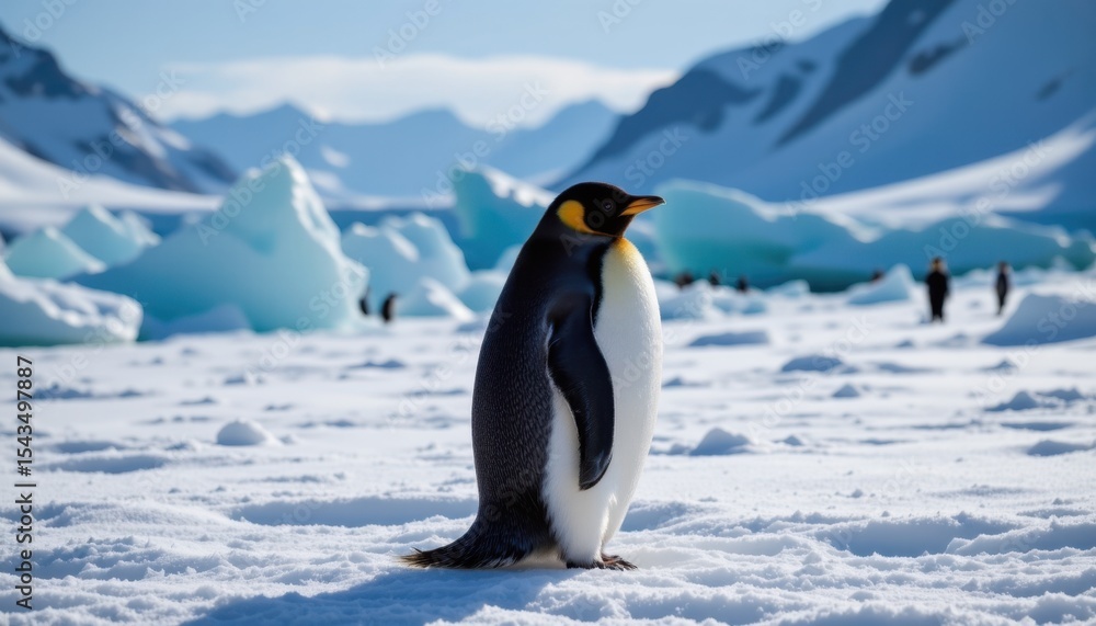 Fototapeta premium Emperor penguin standing on ice antarctica wildlife photography scenic landscape close-up nature's majesty