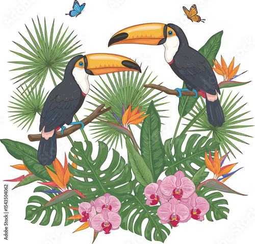 Colorful Toucan Bird Clip Art  vector and Illustration white color background