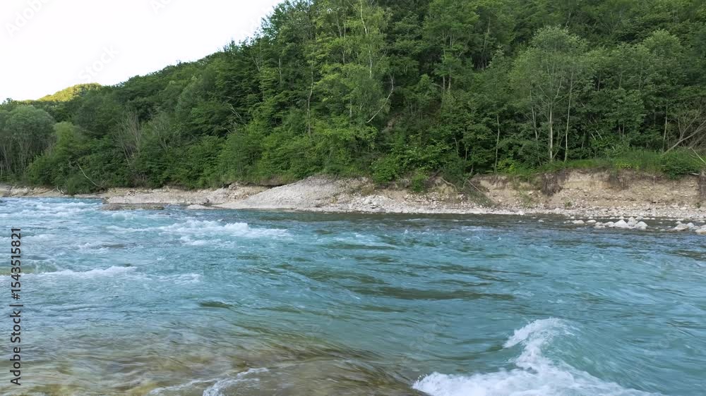 river flowing through lush green forest river flowing through lush green forest