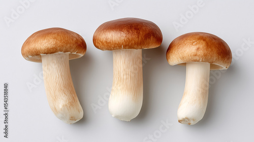 Mushroom Trio: A close-up studio shot of three fresh, brown-capped mushrooms, showcasing their unique textures and forms, ready for culinary creativity.