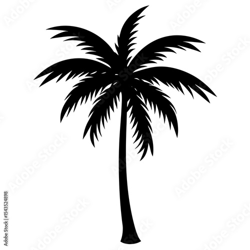 Single tropical palm tree silhouette isolated on white background