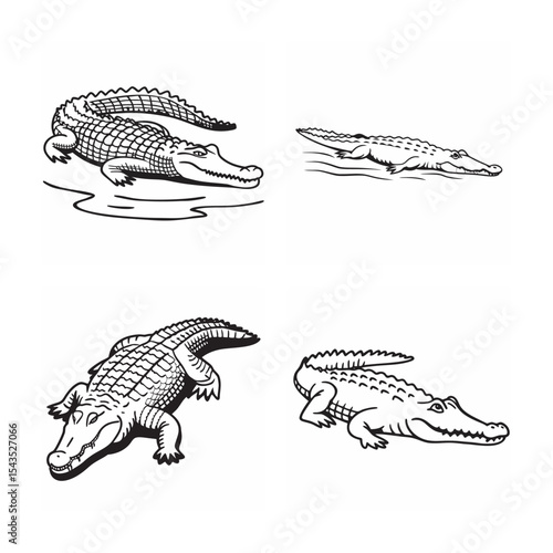  line art of crocodile bundle on the white background 
