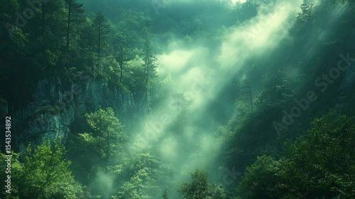 Morning fog envelops a vibrant forest valley, casting an enchanting glow as sunlight filters through trees. Nature awakens in a symphony of colors and tranquility inviting exploration.