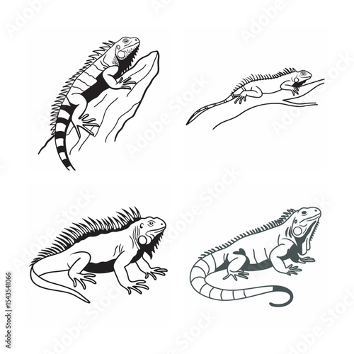 line art of animal of chameleon clinging bundle on the white background