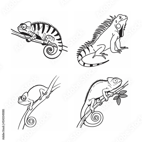 line art of animal of chameleon clinging bundle on the white background