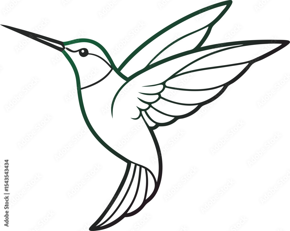 white hummingbird isolated on white white hummingbird isolated on white