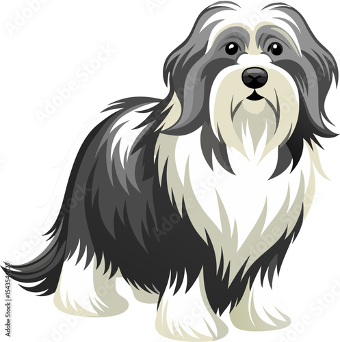 Polish Lowland Sheepdog dog
