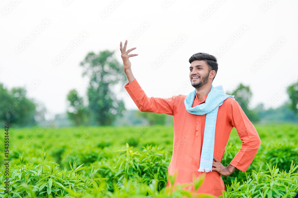 young indian farmer standing at green agricultural field young indian farmer standing at green agricultural field