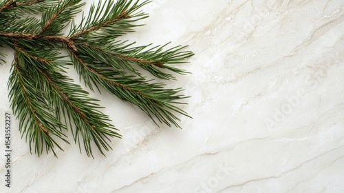 Pine branch resting on a smooth marble background, creating a serene and natural composition with soft textures and colors