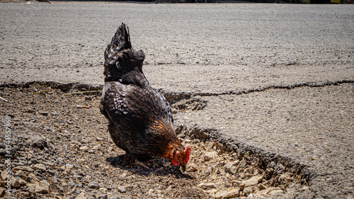 фотографія Banjani roads and pecks