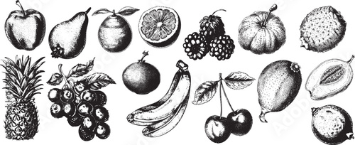 Vintage Engraving of assorted Fruits with bold lines and Retro Style, perfect for Organic, Botanical, and Farmhouse-themed illustrations.